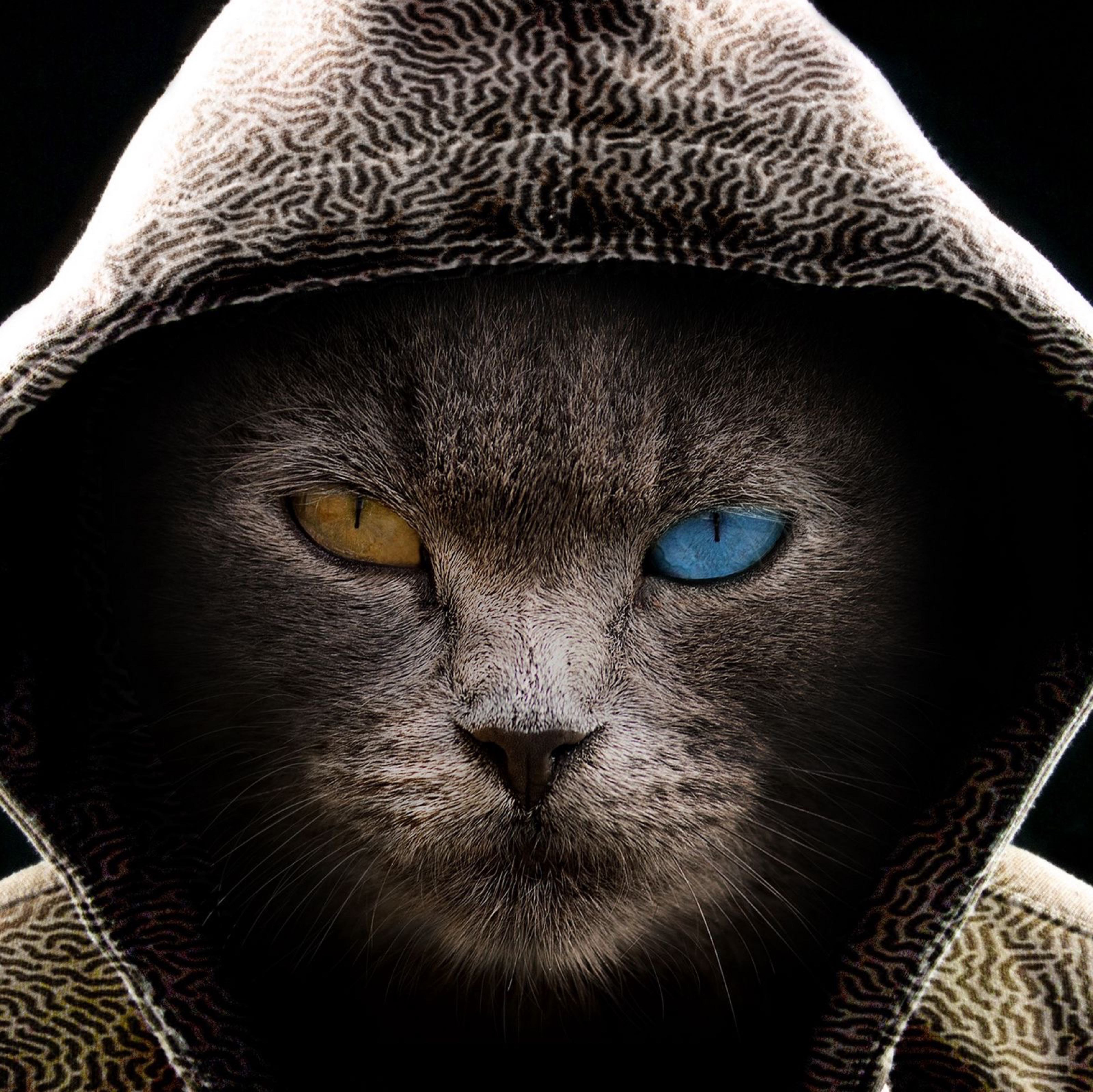 Иконка канала SOLOMON