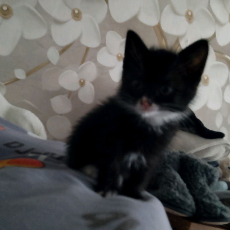 Иконка канала Слава истории