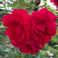 Иконка канала Психология денежной Энергии