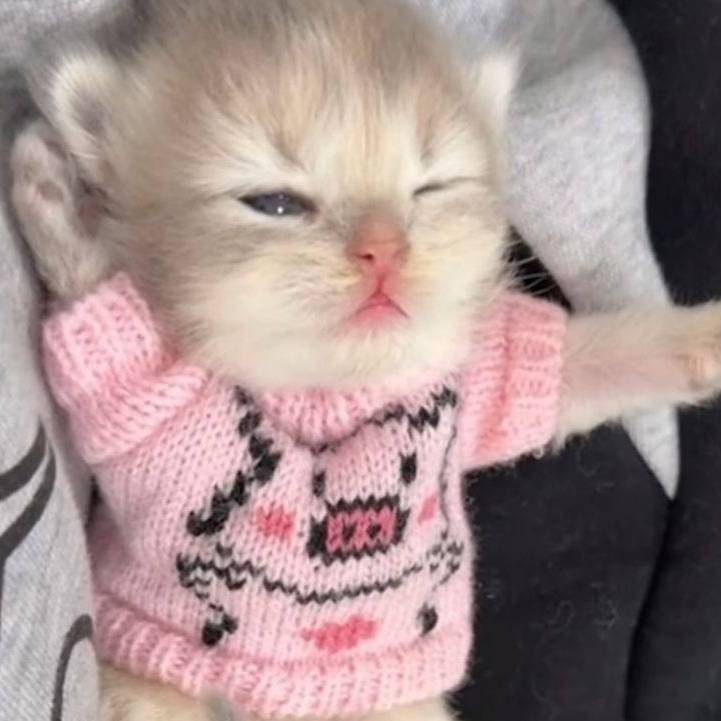 Иконка канала john_galliano