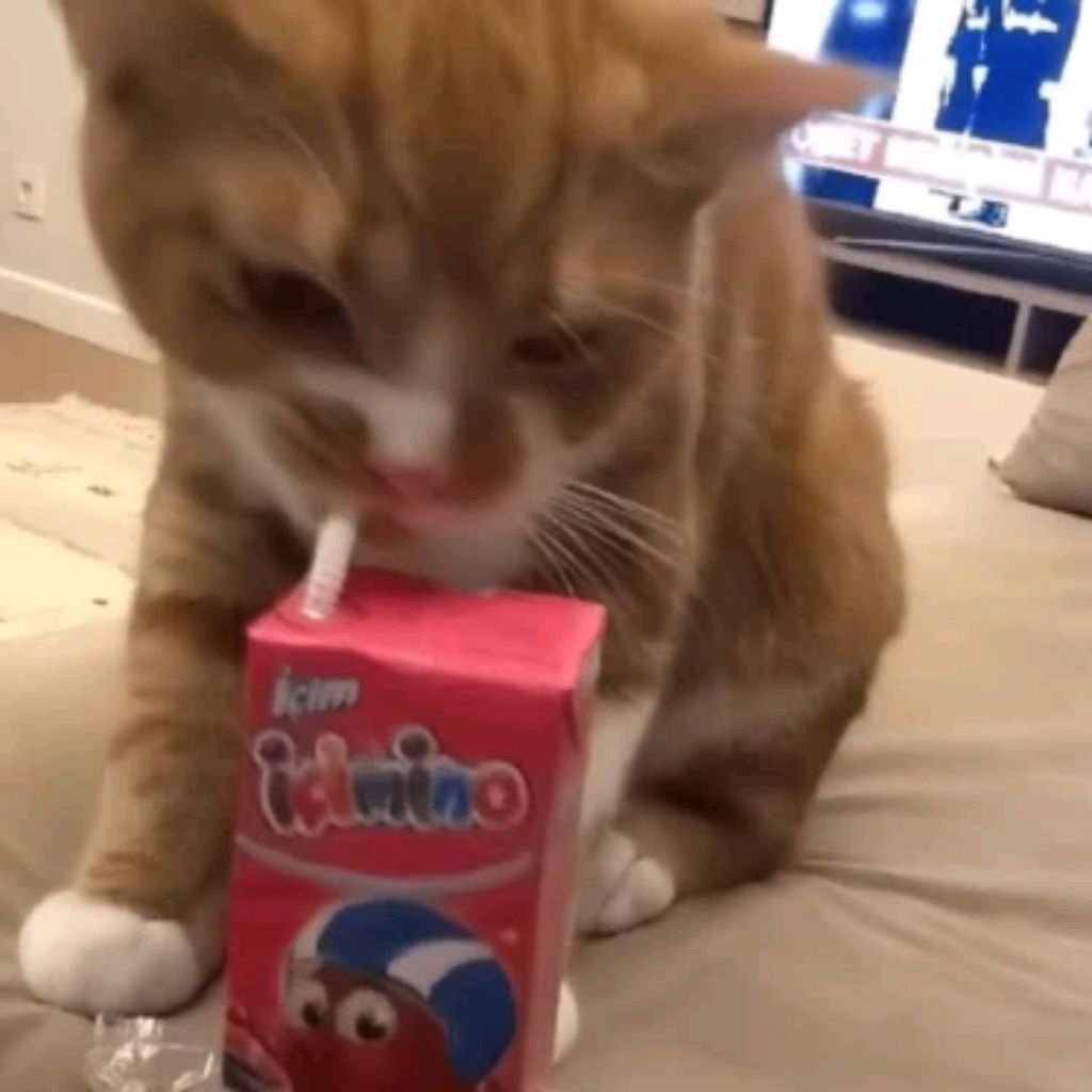 Иконка канала BELOXA/rbx