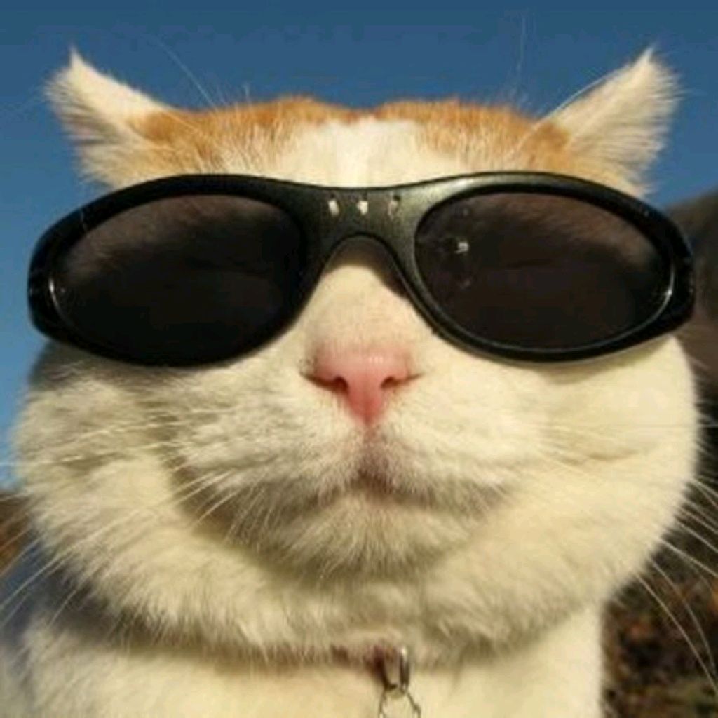 Иконка канала Slavon_Live