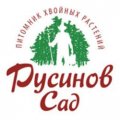 Иконка канала Питомник хвойных "Русинов Сад"