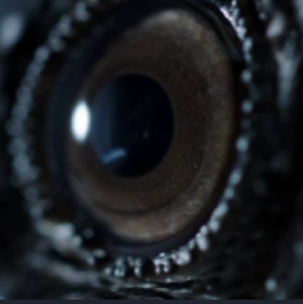 Иконка канала ПЕНСИОНЕР на RUTUBE