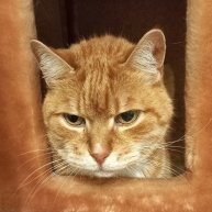 Иконка канала Петербургские сюжеты.St. Petersburg stories.