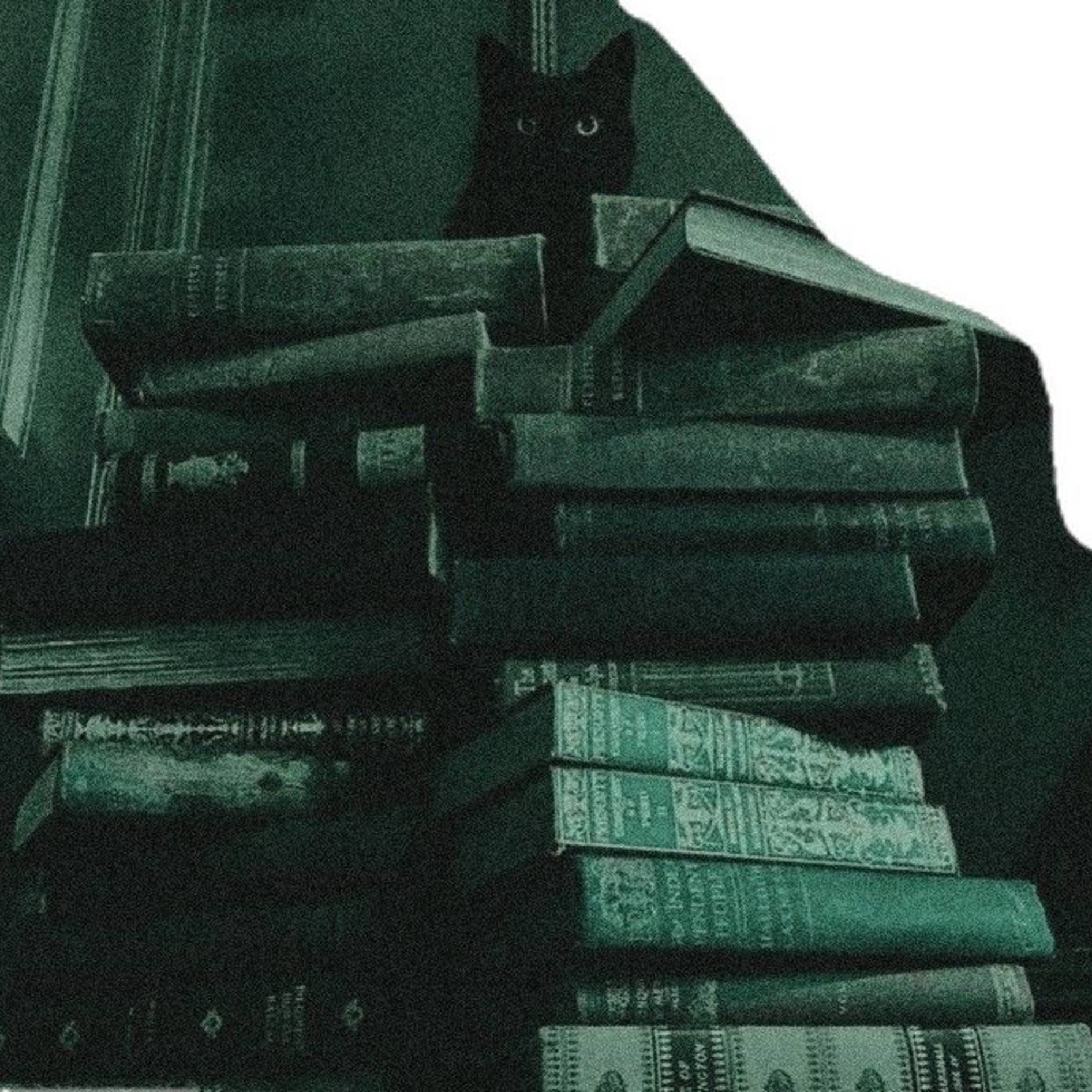 Иконка канала 𝒩𝒾𝑔𝒽𝓉 𝓈𝓉𝑜𝓇𝓎