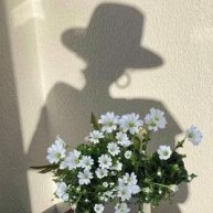 Иконка канала Сиречь. Музыка вдохновения.