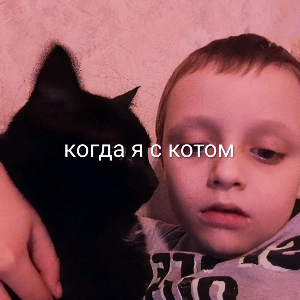 Иконка канала Когда Я С Котом