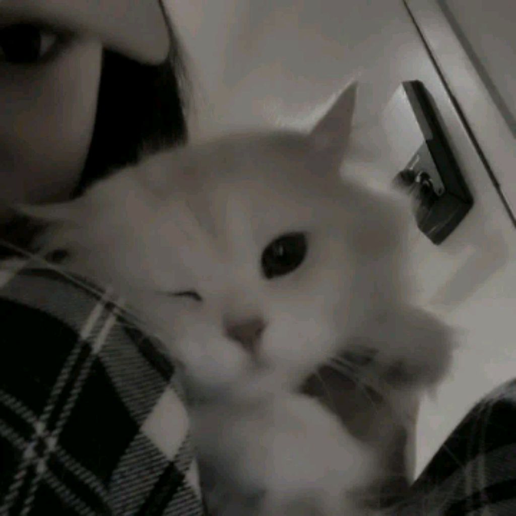 Иконка канала 🌸Алёна🌸