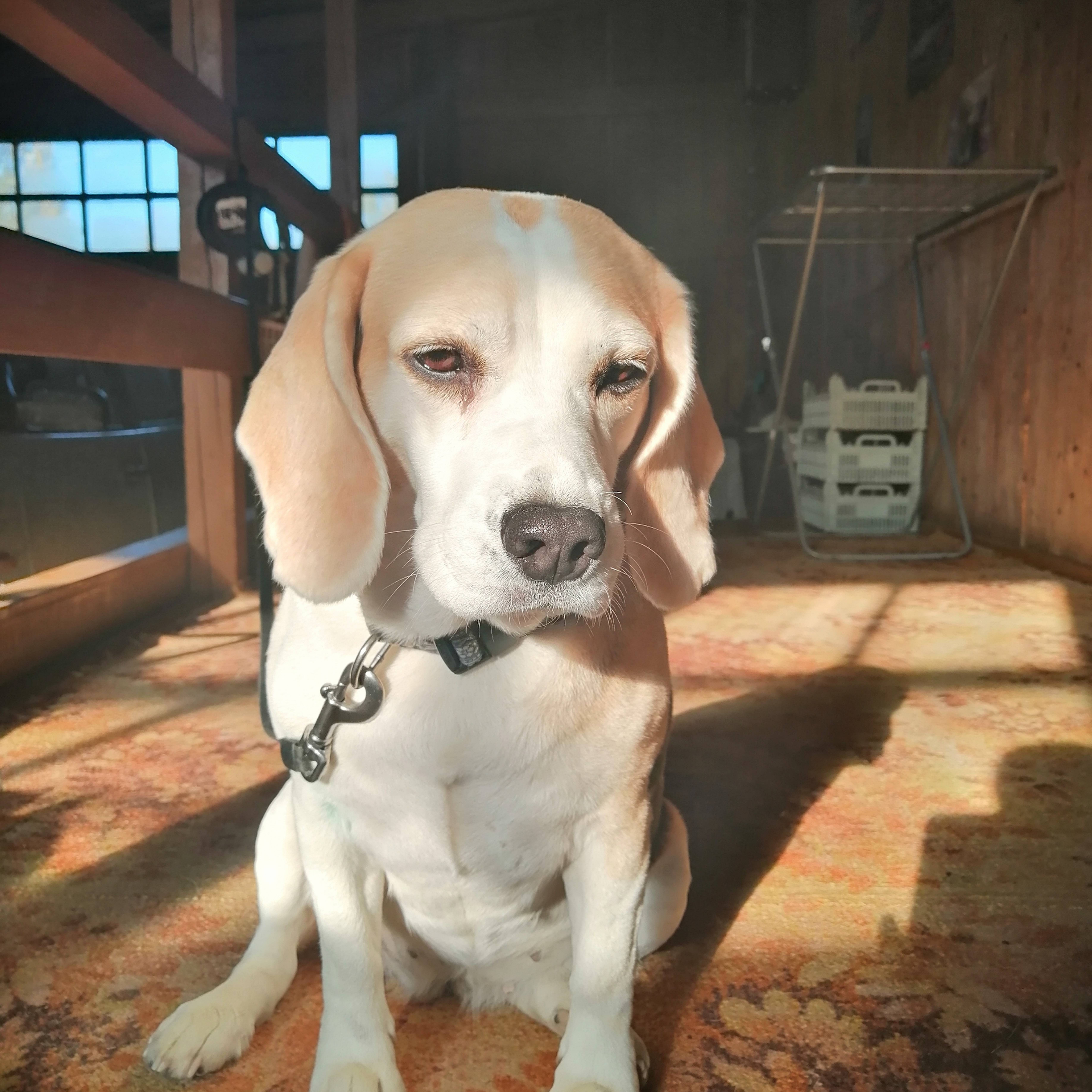 Иконка канала Охота и Рыбалка