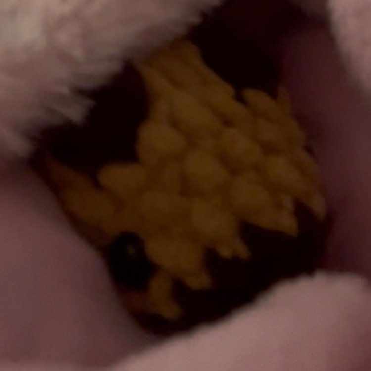 Иконка канала Купидоша