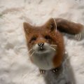 Иконка канала 🦊♡ВАСЕЛЁК_ЛИСЁНОК♡🦊