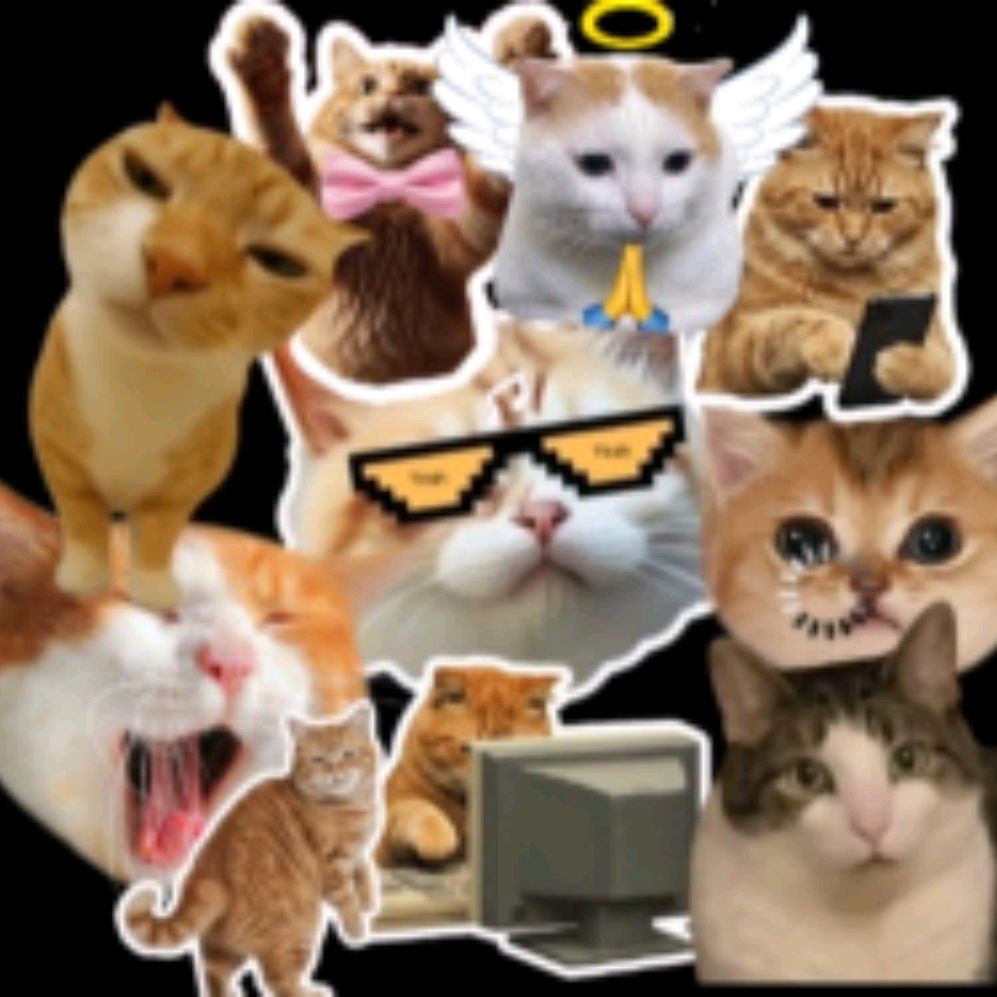 Иконка канала 😻Банда котиков😻