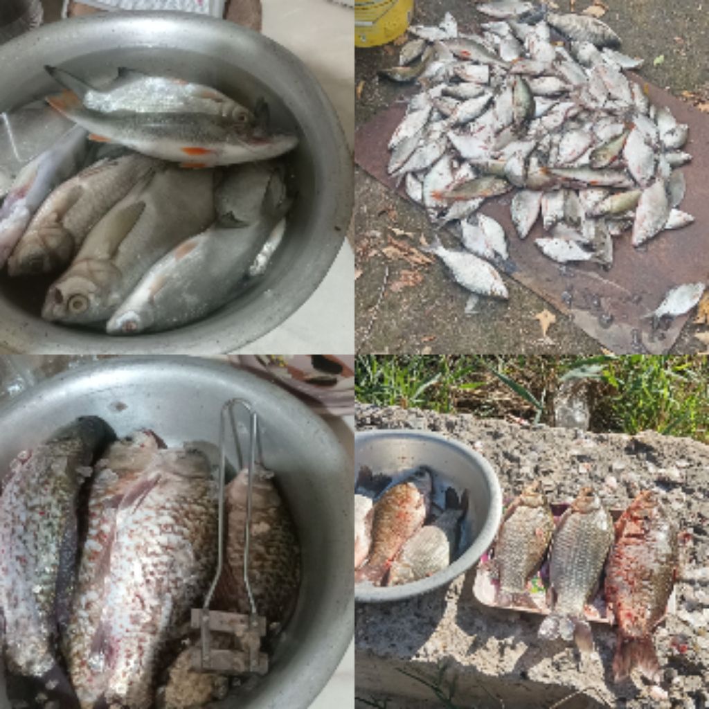 Иконка канала Мотя and Рыбалка