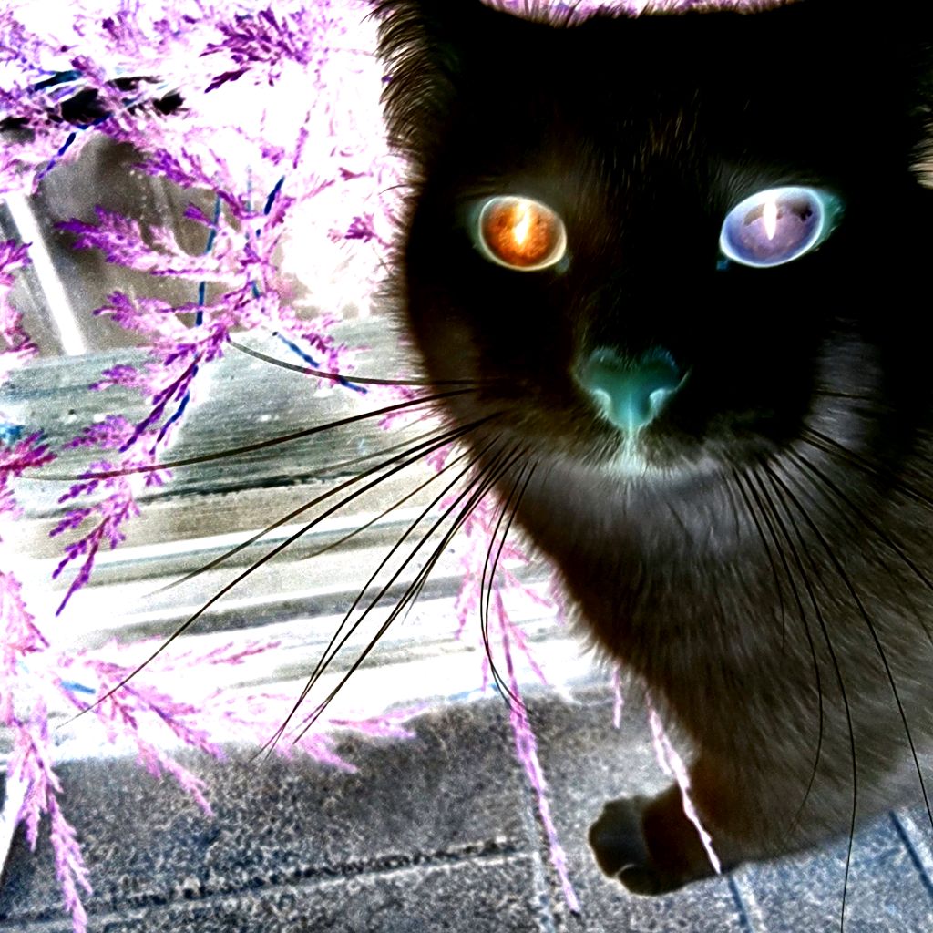 Иконка канала ekat