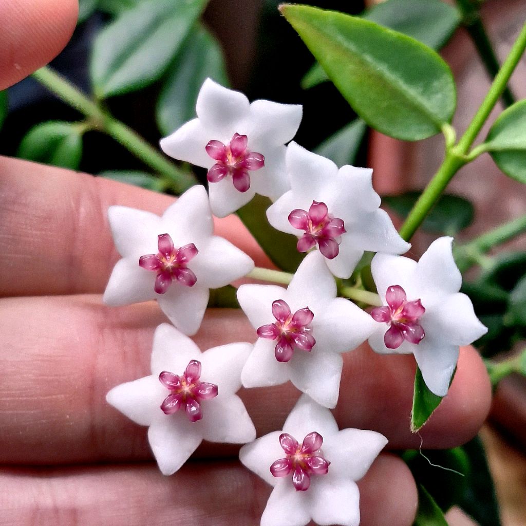 Иконка канала The_sleeping_forest