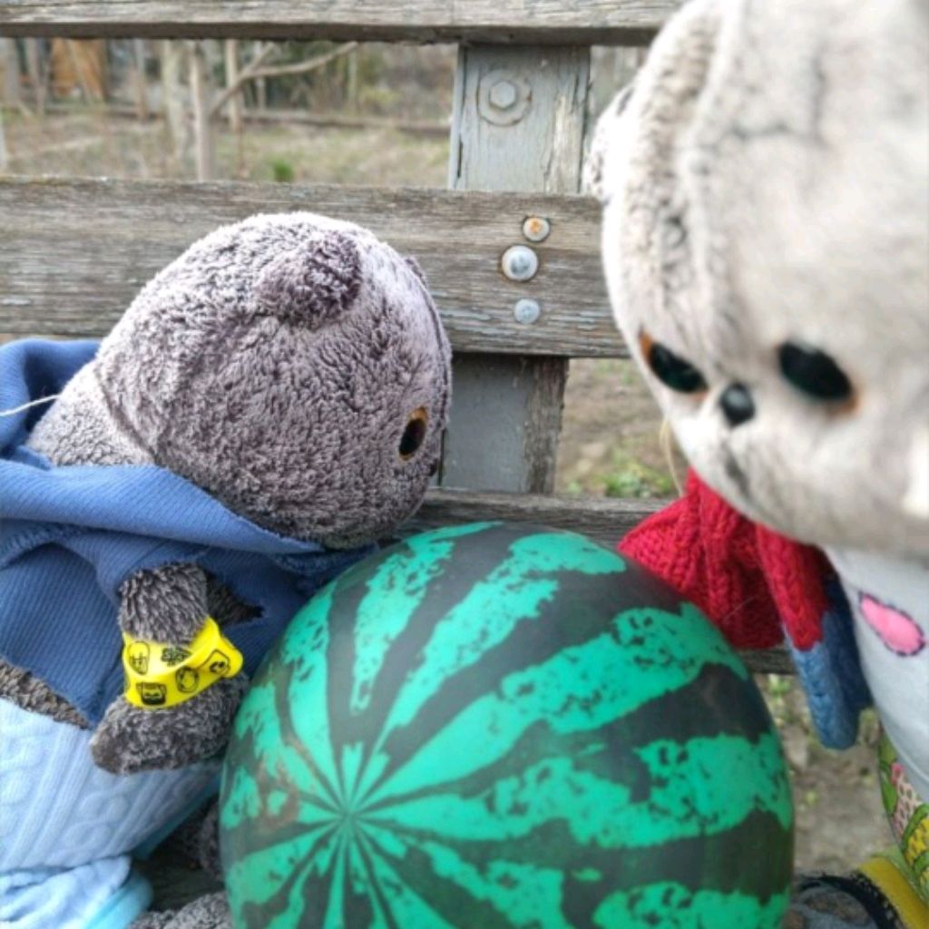 Иконка канала Лили И Миша))♡