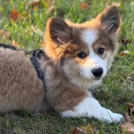 Иконка канала Алина