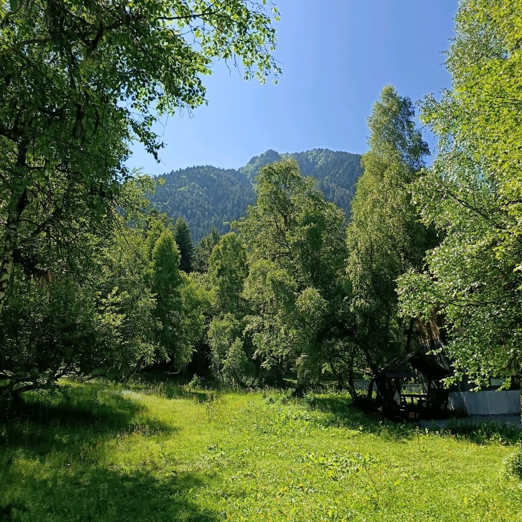 Иконка канала Позитивный взгляд