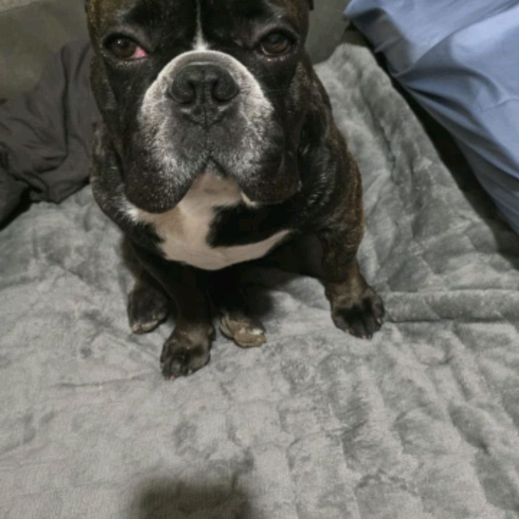 Иконка канала So 2025.08-