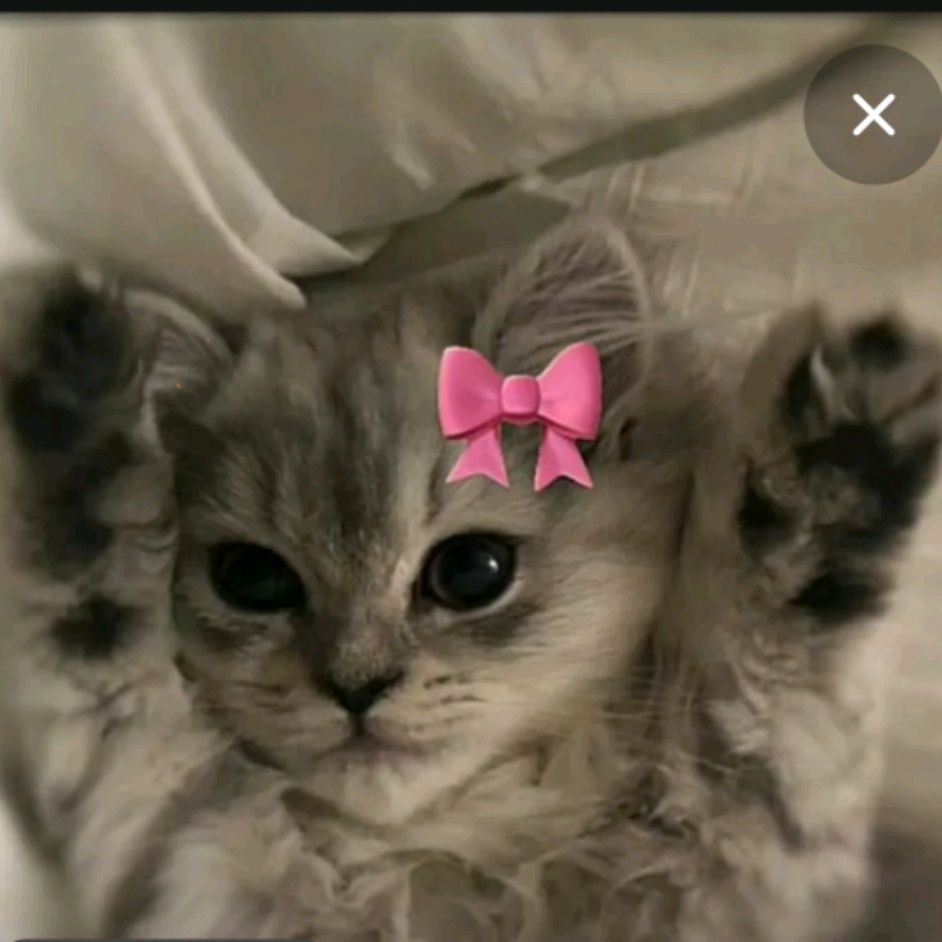 Иконка канала Просто Дуся