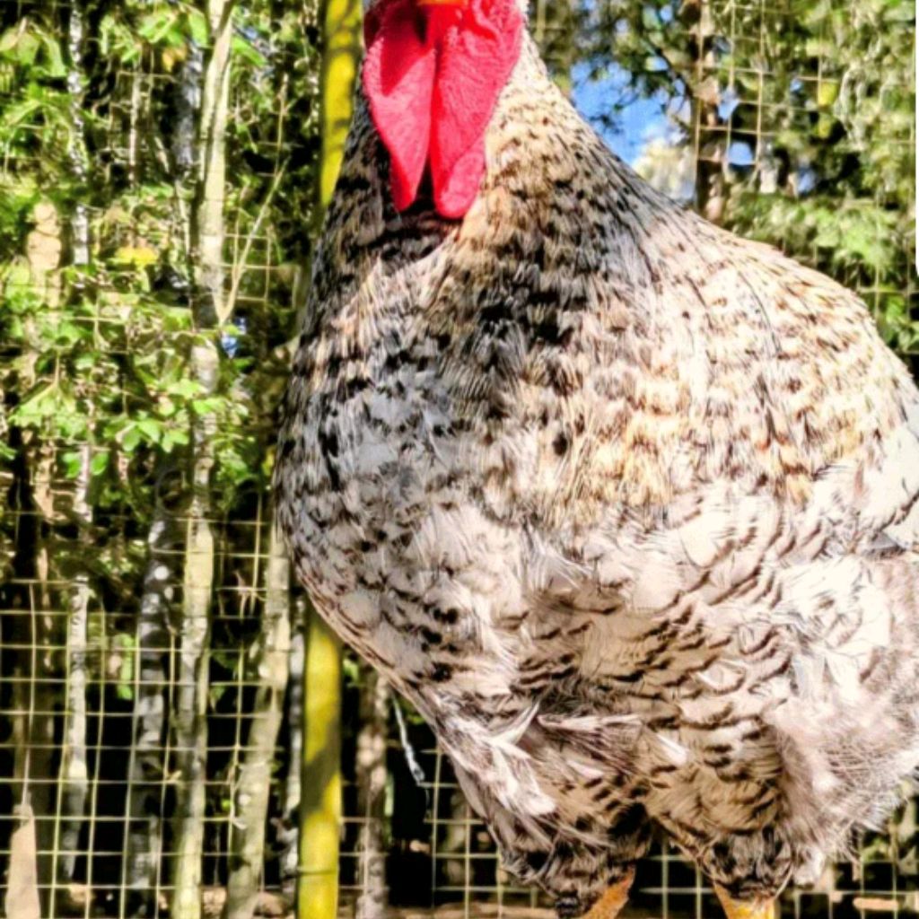 Иконка канала Лёха777