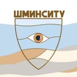 Иконка канала SHMINSITU