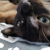 Иконка канала ЛюТыЙ ТуЧкА