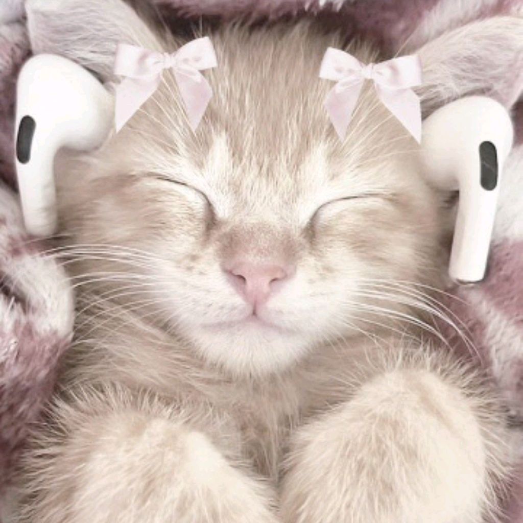 Иконка канала ~Сон ралилы[🎰]~(новый медвежонок)