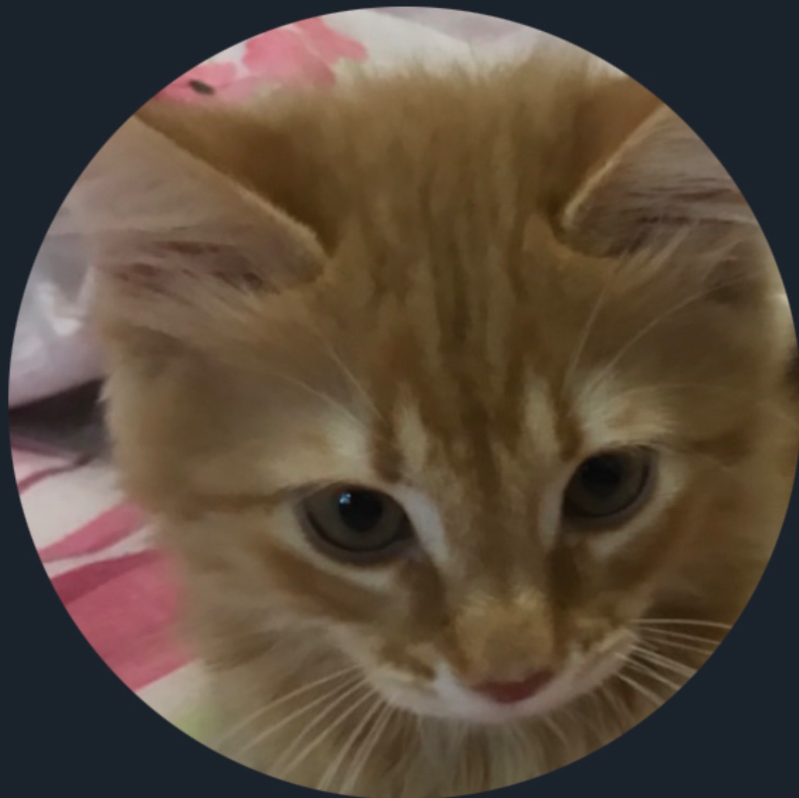 Иконка канала KINO Rus