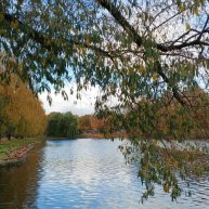 Иконка канала Музыка природы