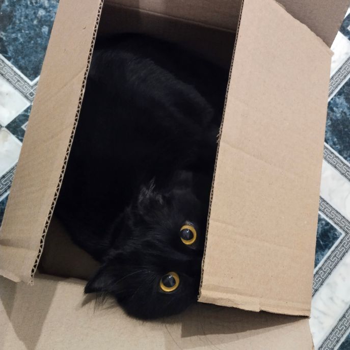 Иконка канала Анастасия Лосинская