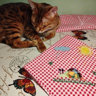 Иконка канала "Сундучок2025" Творим жизнь вместе