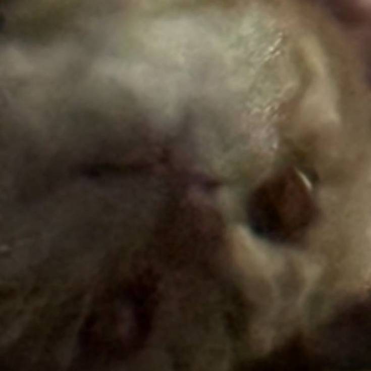 Иконка канала gallina_blanca