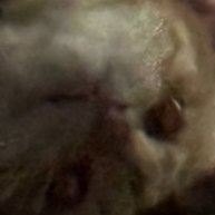 Иконка канала gallina_blanca