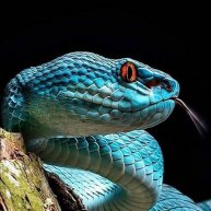 Иконка канала Исцеление офлайн. Связь ментальная.