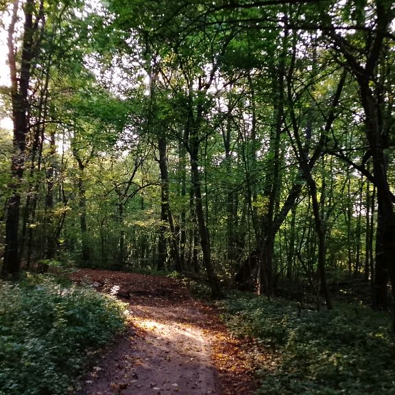 Иконка канала ATMOSPHERIC