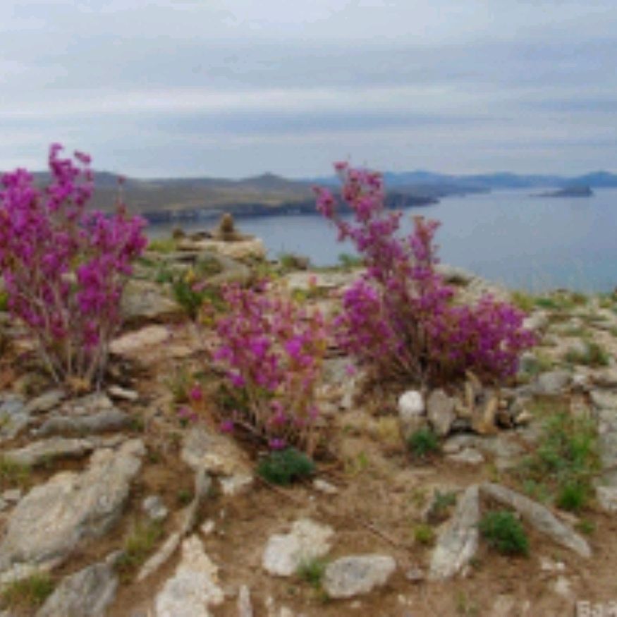 Иконка канала ТонкийМир&Mika🎐🐞💎