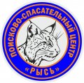 Иконка канала ДПСЦ «РЫСЬ»