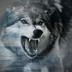 Иконка канала СТРАННИК