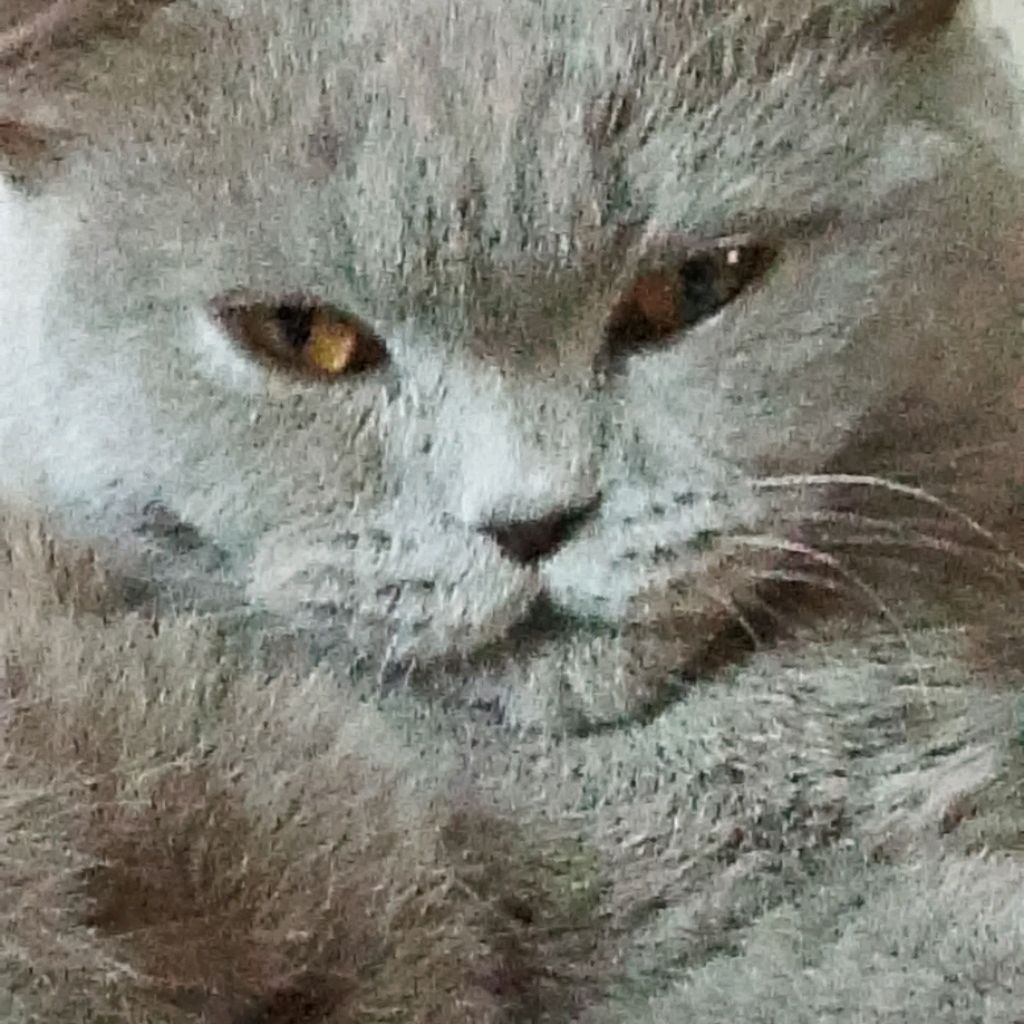 Иконка канала Блохер ТВ