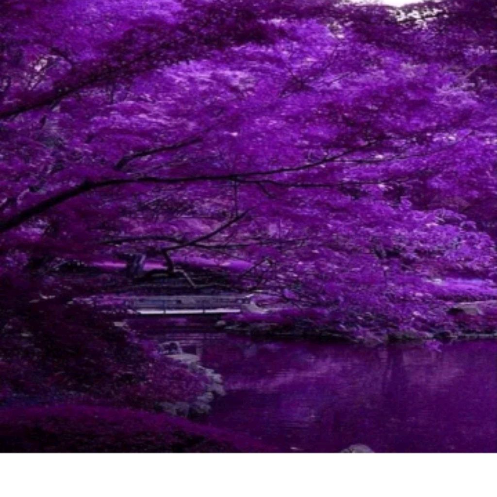 Иконка канала Стейси Iike