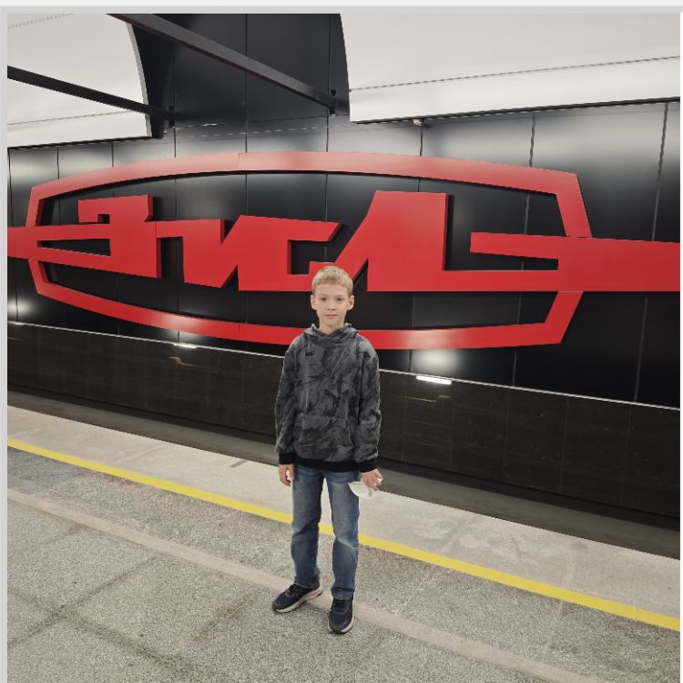 Иконка канала Дикий метрофанат