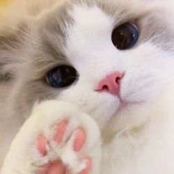 Иконка канала SISTER Лена