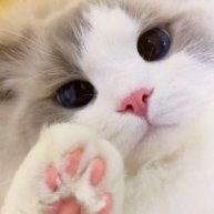 Иконка канала SISTER Лена