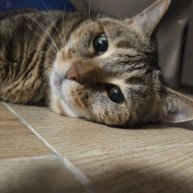 Иконка канала ПолинОК