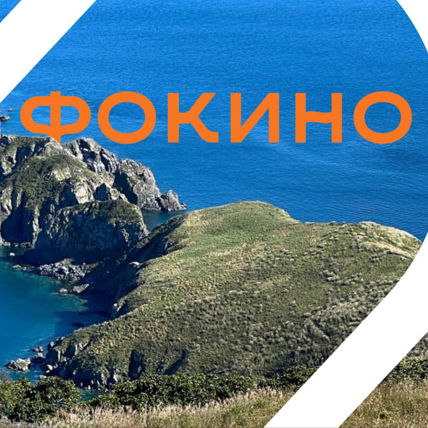 Иконка канала Сердце Фокино (ЗАТО Фокино)