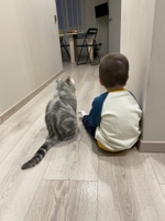 Иконка канала ВруКот