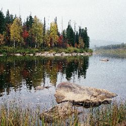 Иконка канала Богословский краевед