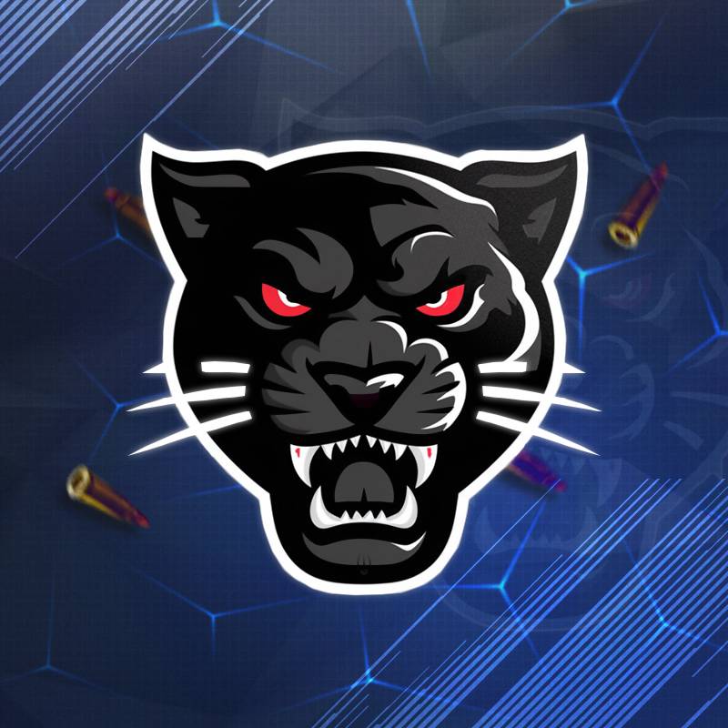 Иконка канала PanTerra